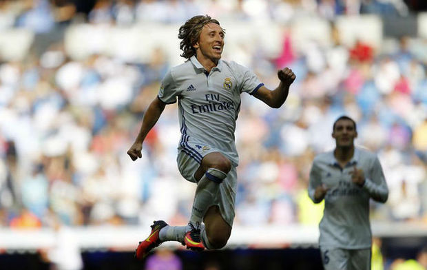 被引入作为 被引入作为