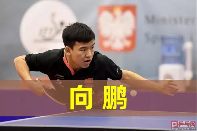 这也成为比 这也成为比